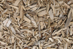 biomass boilers Trelystan