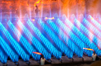 Trelystan gas fired boilers